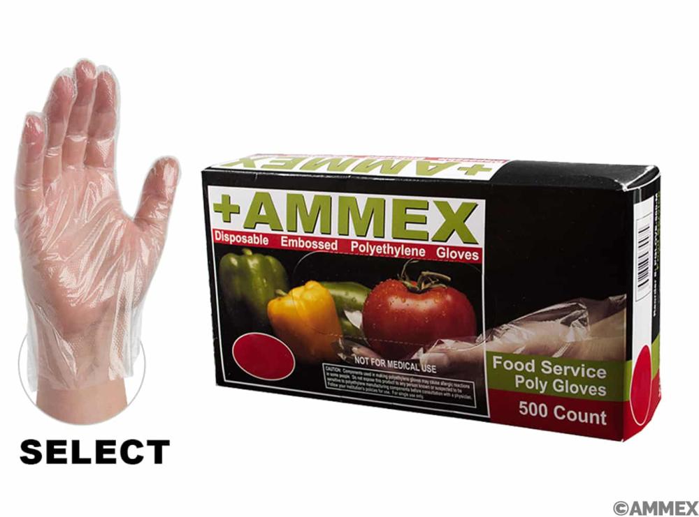 AMMEX Poly Food Service Glove-Large