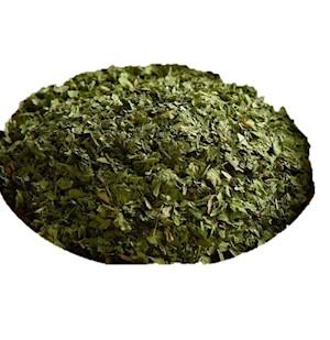Cilantro
