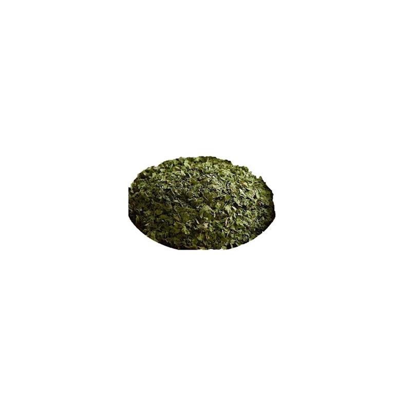 Cilantro