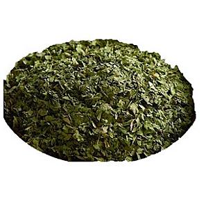 Cilantro