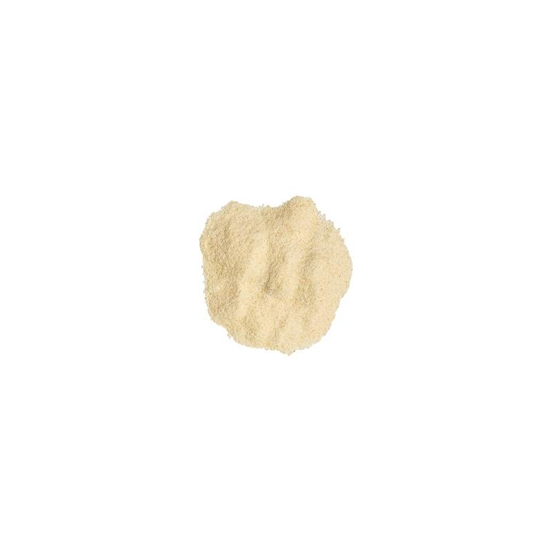 Garlic Salt